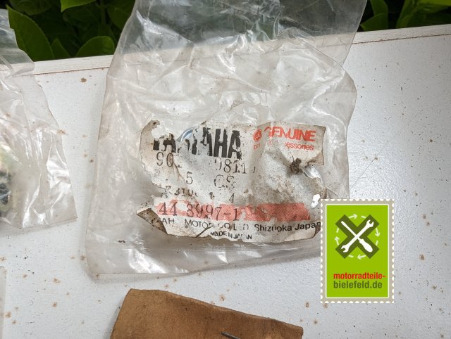 PXL_20240518_102416871